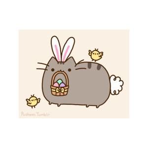 Meet your Posher, Renée